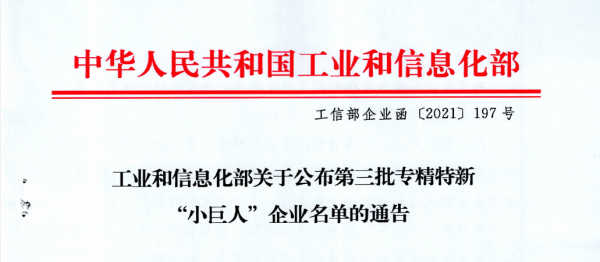 恭喜我公司入選國(guó)家級(jí)專精特新“小巨人”企業(yè)稱號(hào)